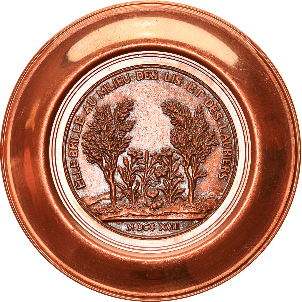 France, Médaille, Marguerite, Reine de Navarre, History, 1972, Cure, SPL