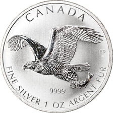 Münze, Kanada, Bald Eagle, 5 Dollars, 2014, 1 Oz, UNZ+, Silber