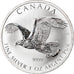 Münze, Kanada, Bald Eagle, 5 Dollars, 2014, 1 Oz, UNZ+, Silber