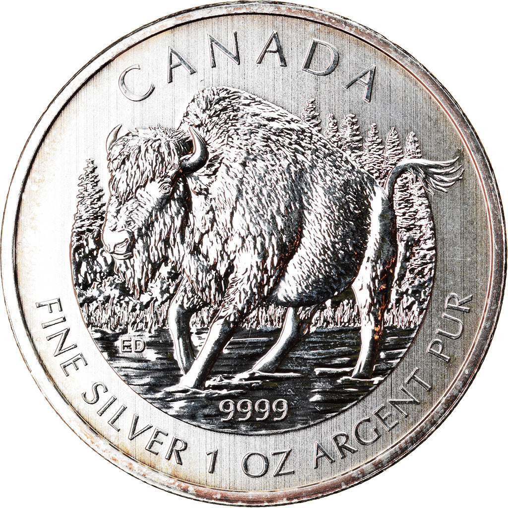 Münze, Kanada, Wood Bison, 5 Dollars, 2013, 1 Oz, UNZ, Silber