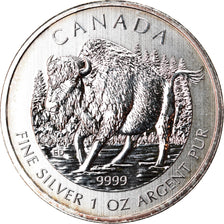 Münze, Kanada, Wood Bison, 5 Dollars, 2013, 1 Oz, UNZ, Silber