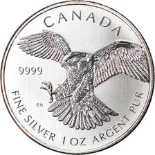 Moneta, Canada, Peregrine Falcon, 5 Dollars, 2014, 1 Oz, SPL+, Argento