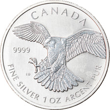 Moneta, Canada, Peregrine Falcon, 5 Dollars, 2014, 1 Oz, SPL-, Argento