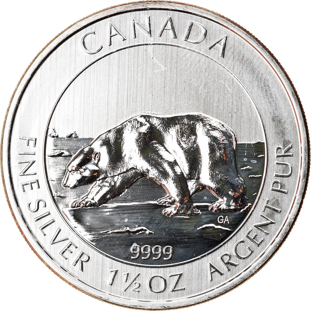 Moneta, Canada, Polar Bear, 8 Dollars, 2013, 1-1/2 Oz, SPL+, Argento