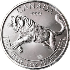 Moneta, Canada, Elizabeth II, Cougar, 5 Dollars, 2016, 1 Oz, FDC, Argento
