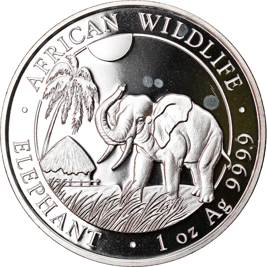 Moneta, Somalia, Elephant, 100 Shillings, 2017, 1 Oz, FDC, Argento