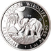 Moneta, Somalia, Elephant, 100 Shillings, 2017, 1 Oz, FDC, Argento