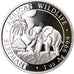 Moneta, Somalia, Elephant, 100 Shillings, 2017, 1 Oz, FDC, Argento
