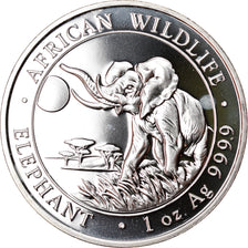 Moneta, Somalia, Elephant, 100 Shillings, 2016, 1 Oz, FDC, Argento