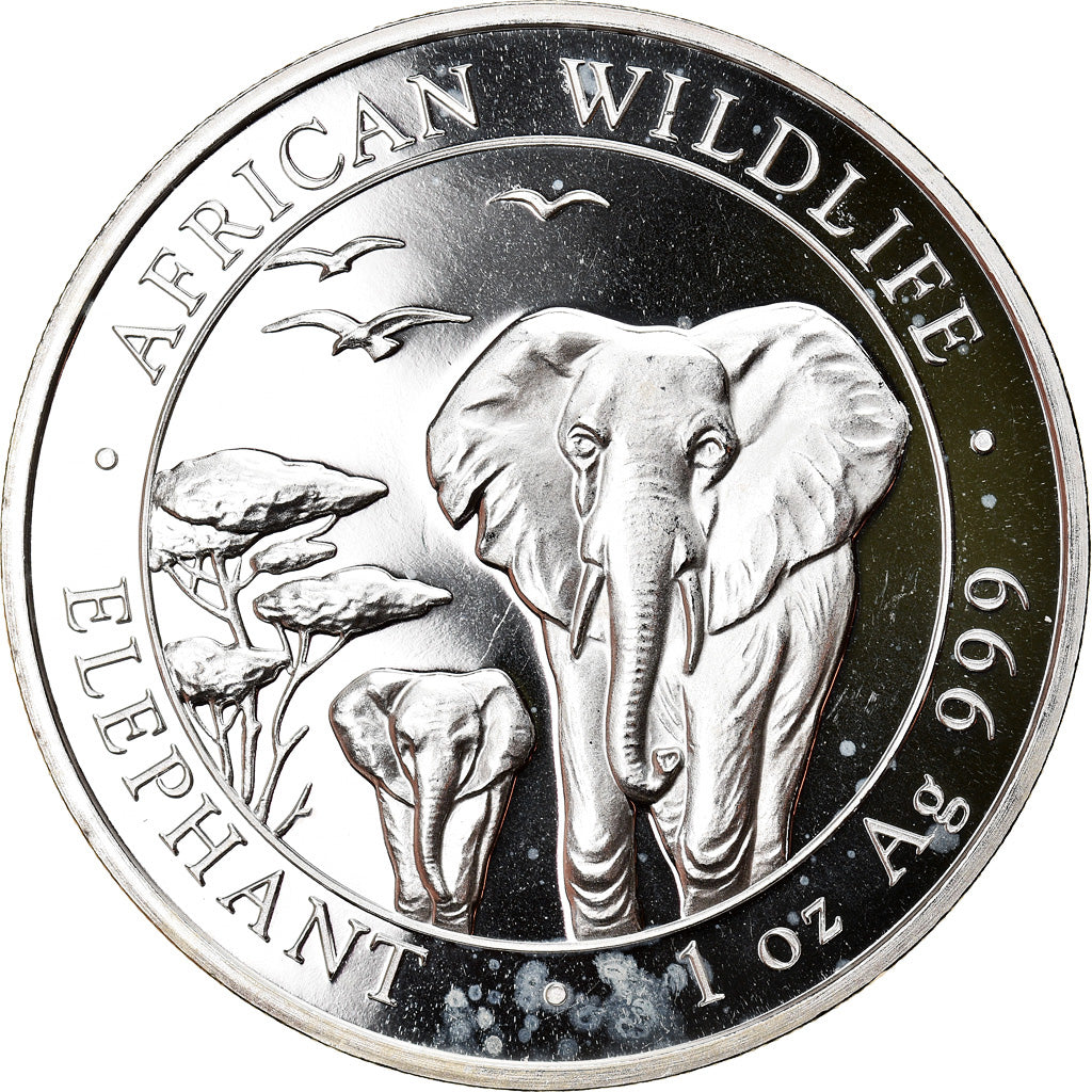Moneta, Somalia, Elephant, 100 Shillings, 2015, 1 Oz, FDC, Argento