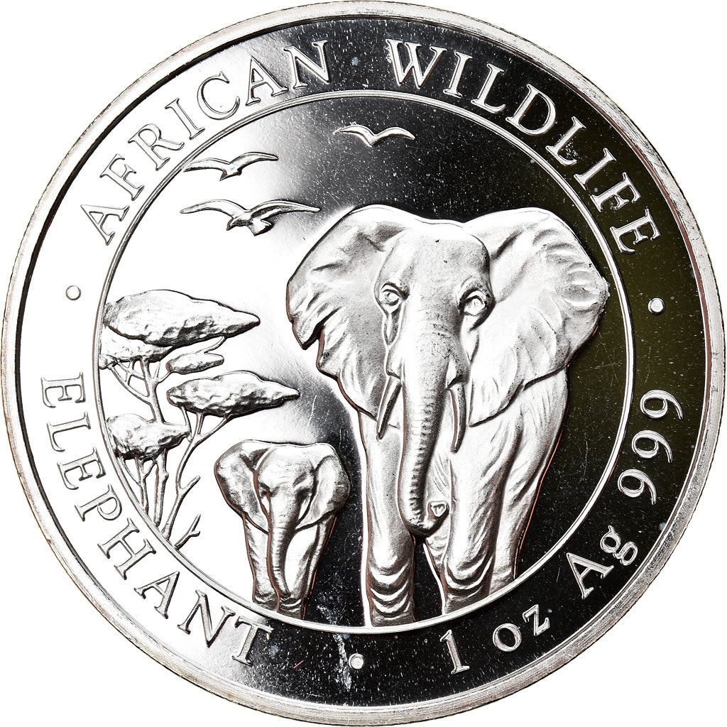 Münze, Somalia, Elephant, 100 Shillings, 2015, 1 Oz, STGL, Silber