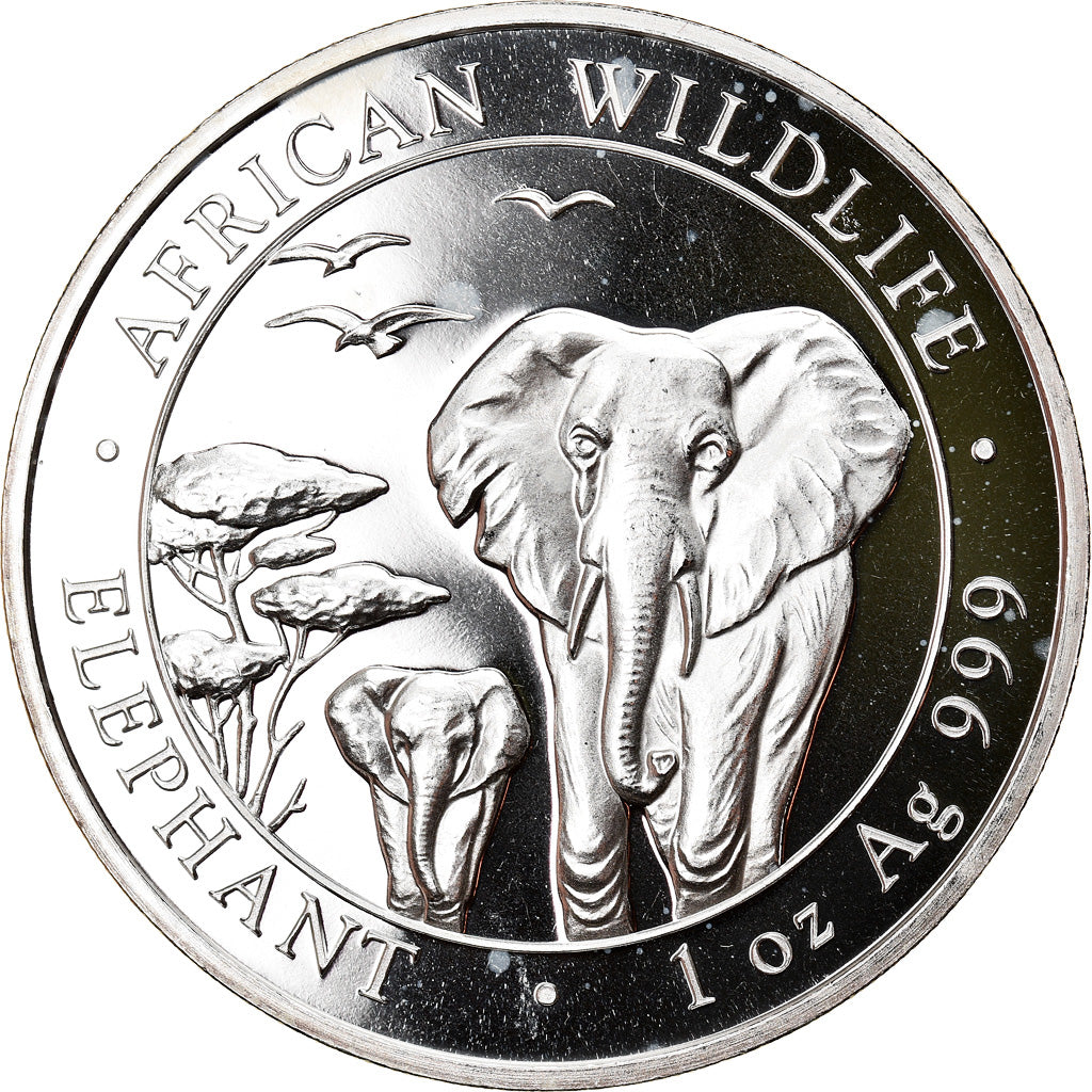 Münze, Somalia, Elephant, 100 Shillings, 2015, 1 Oz, STGL, Silber