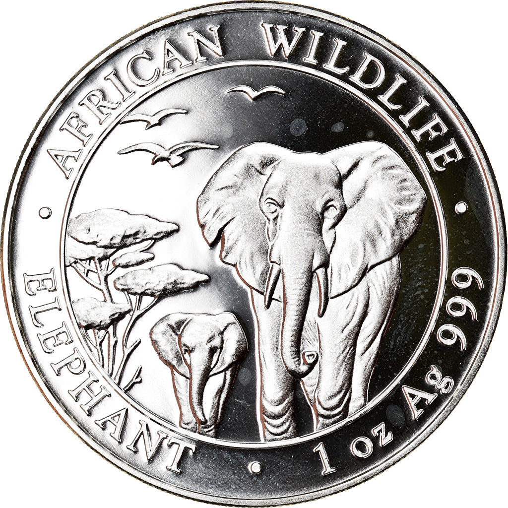 Moneta, Somalia, Elephant, 100 Shillings, 2015, 1 Oz, FDC, Argento