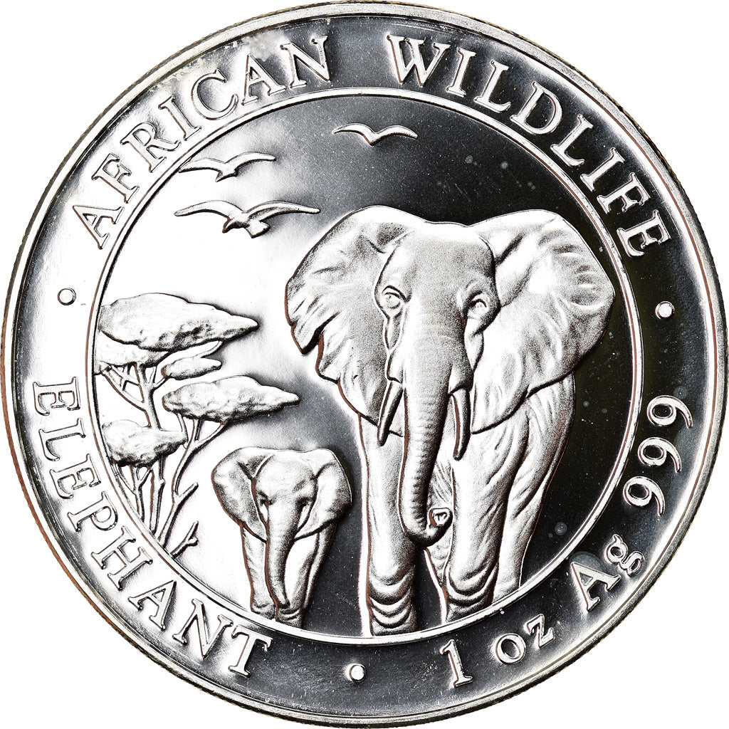 Moneta, Somalia, Elephant, 100 Shillings, 2015, 1 Oz, FDC, Argento