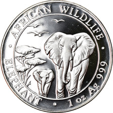 Moneta, Somalia, Elephant, 100 Shillings, 2015, 1 Oz, FDC, Argento