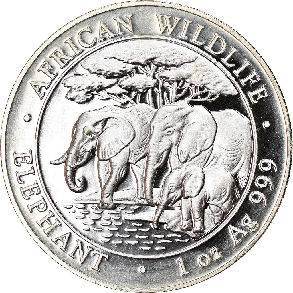 Moneta, Somalia, Elephant, 100 Shillings, 2013, 1 Oz, FDC, Argento