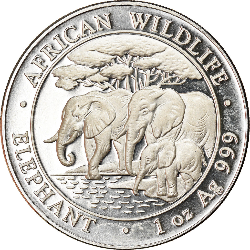 Monnaie, Somalie, Elephant, 100 Shillings, 2013, 1 Oz, FDC, Argent