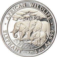 Monnaie, Somalie, Elephant, 100 Shillings, 2013, 1 Oz, FDC, Argent