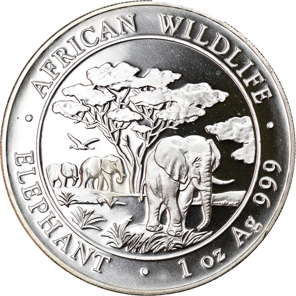 Münze, Somalia, Elephant, 100 Shillings, 2012, 1 Oz, STGL, Silber