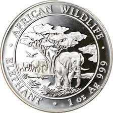 Münze, Somalia, Elephant, 100 Shillings, 2012, 1 Oz, STGL, Silber