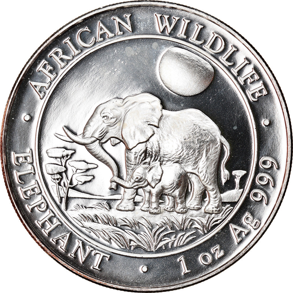 Münze, Somalia, Elephant, 100 Shillings, 2011, 1 Oz, STGL, Silber