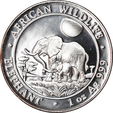 Münze, Somalia, Elephant, 100 Shillings, 2011, 1 Oz, STGL, Silber
