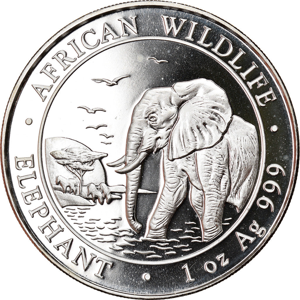 Moneta, Somalia, Elephant, 100 Shillings, 2010, 1 Oz, FDC, Argento