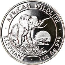 Moneta, Somalia, Elephant, 100 Shillings, 2009, 1 Oz, FDC, Argento