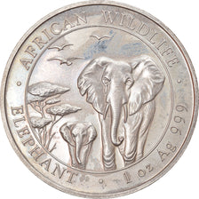 Münze, Somalia, Elephant, 100 Shillings, 2015, 1 Oz, VZ, Silber