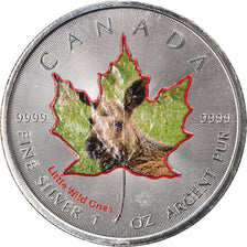 Moneta, Canada, Maple Leaf, 5 Dollars, 2016, Little Wild Ones, Moose, FDC