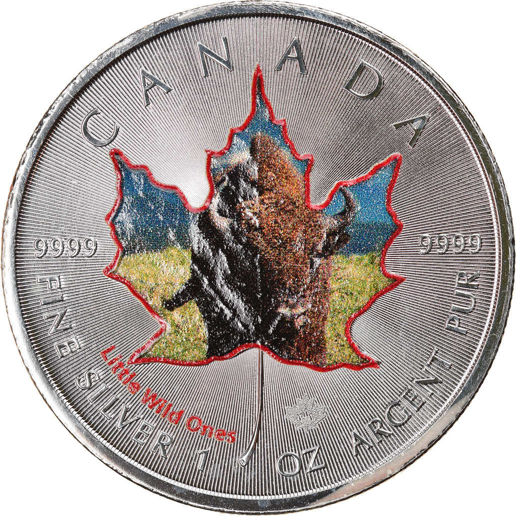 Münze, Kanada, Maple Leaf, 5 Dollars, 2016, Little Wild Ones, Bison, STGL