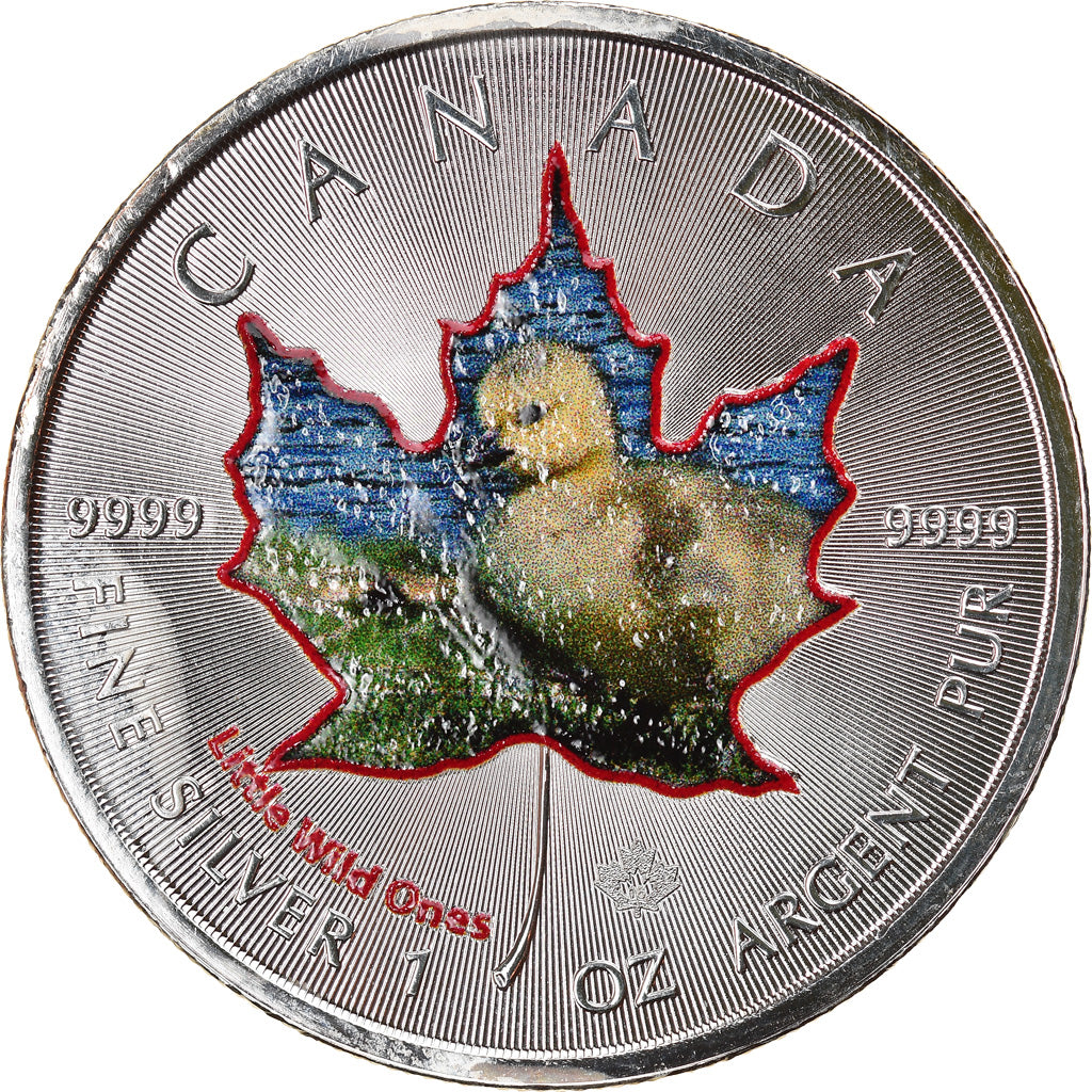 Monnaie, Canada, Maple Leaf, 5 Dollars, 2016, Little Wild Ones, Canada Goose