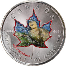 Monnaie, Canada, Maple Leaf, 5 Dollars, 2016, Little Wild Ones, Canada Goose