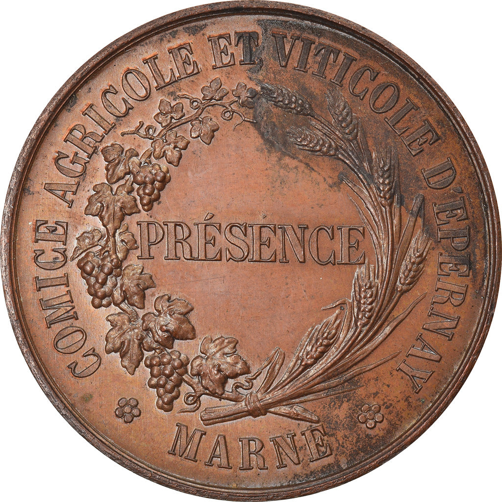 France, Médaille, Comice Agricole et Viticole d'Epernay, Marne, SUP, Cuivre