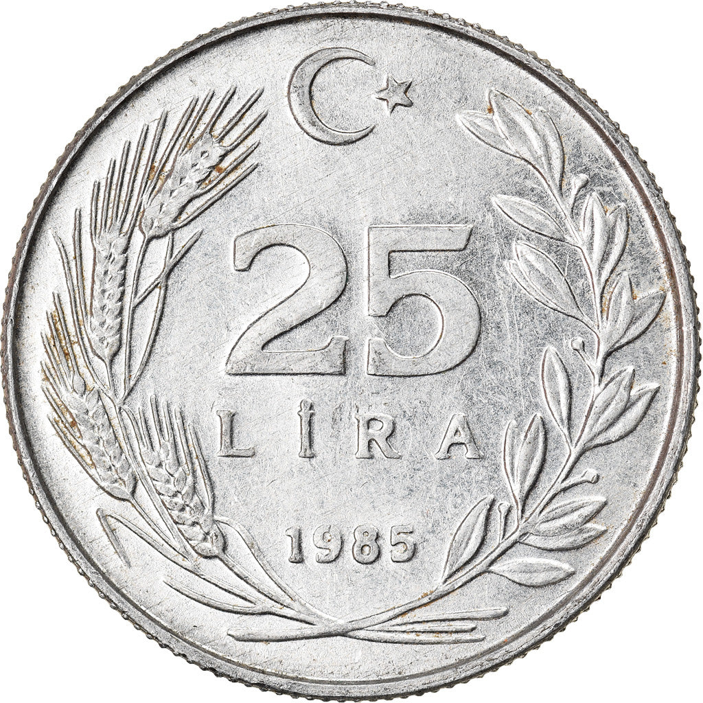 Moneta, Turchia, 25 Lira, 1985, BB+, Alluminio, KM:975