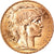 Moeda, França, Marianne, 20 Francs, 1907, MS(63), Dourado, KM:857