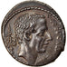 Coin, Coelia, Denarius, 51 BC, Rome, AU(55-58), Silver, Crawford:437/2