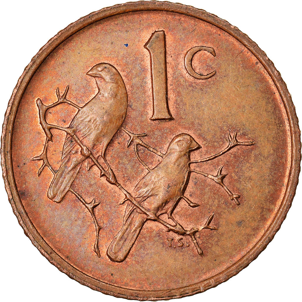 Moneta, Sudafrica, Cent, 1970, SPL-, Bronzo, KM:82