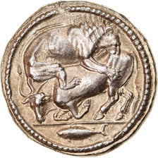 Moeda, Macedónia, Akanthos, Tetradrachm, 470-430 BC, AU(55-58), Prata