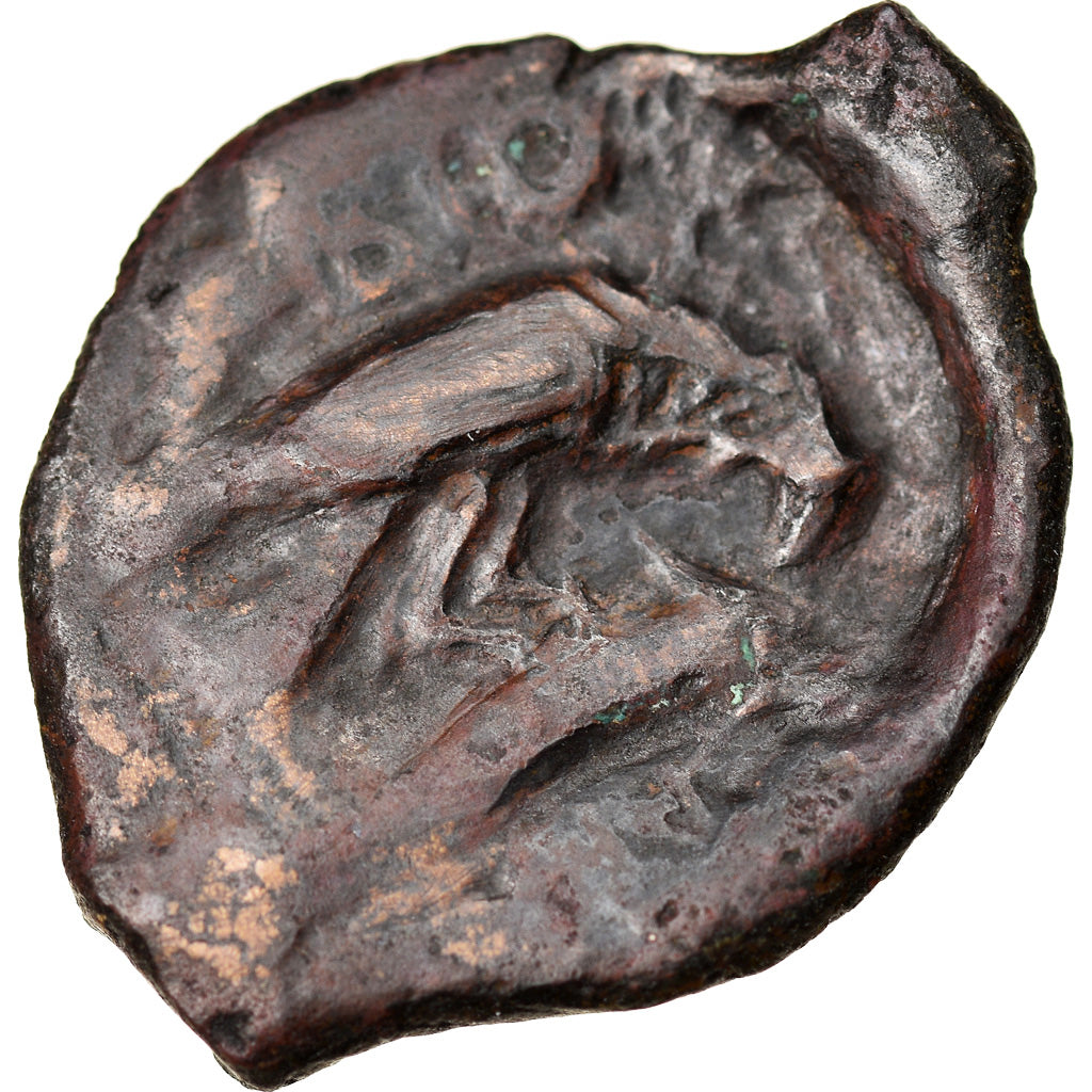 Moeda, Sarmácia, Olbia, Bronze Æ, 330 BC, VF(30-35), Bronze