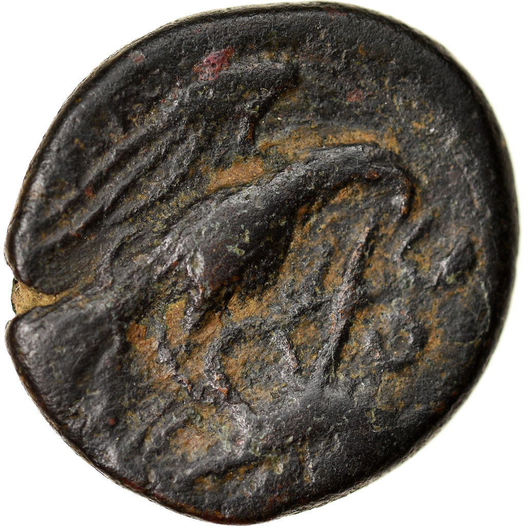 Moneda, Euboia, Chalkis, Bronze Æ, 245-196 BC, BC+, Bronce