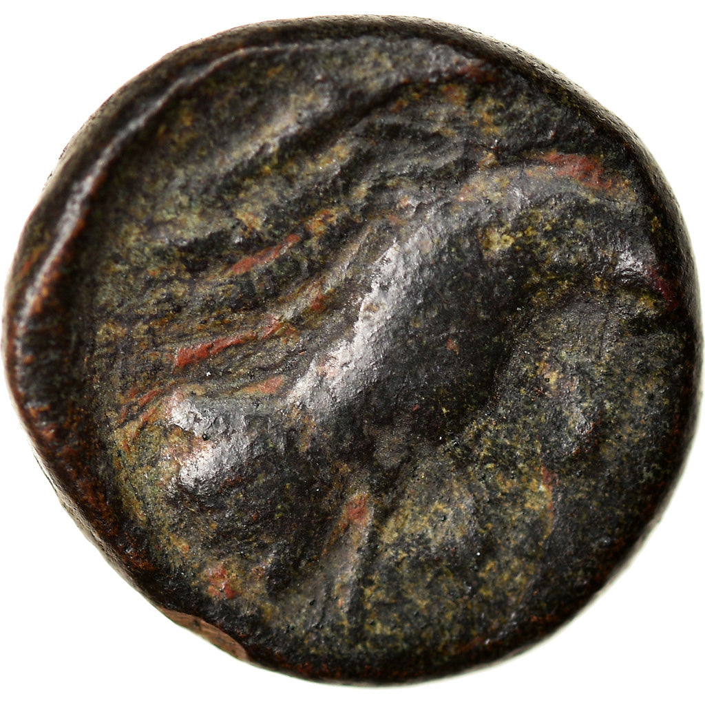 Coin, Euboia, Chalkis, Bronze Æ, 290-273/1 BC, VF(20-25), Bronze