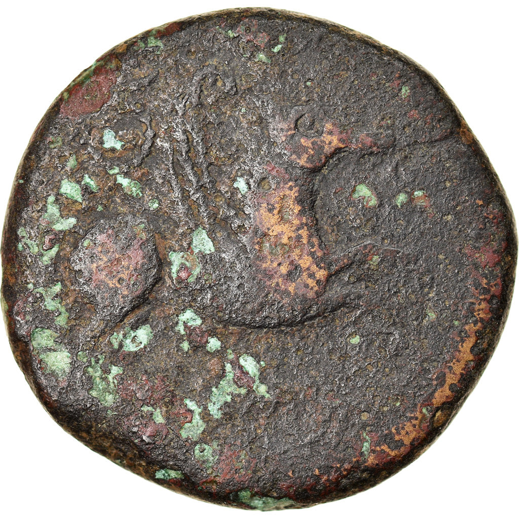 Moneta, Hiszpania, Emporion, Bronze Æ, Ist century BC, F(12-15), Bronze
