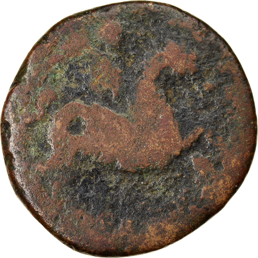Coin, Spain, Tarraco, Bronze Unit, 200-150 BC, VG(8-10), Bronze