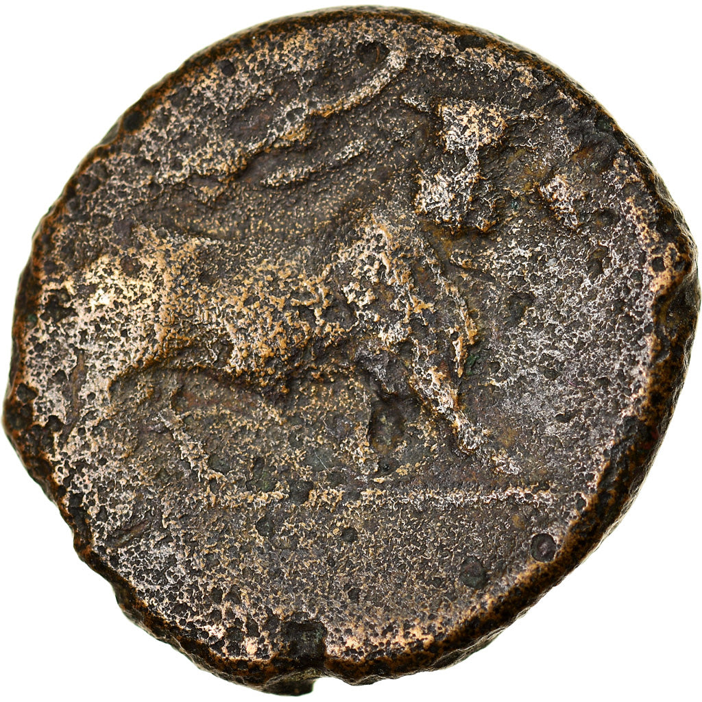 Moneta, Campania, Cales, Bronze Æ, 265-240 BC, MB, Bronzo, HN Italy:436