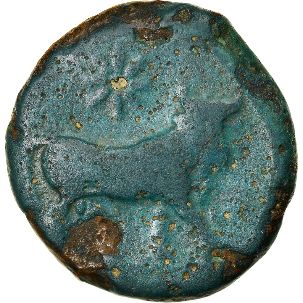 Coin, Campania, Neapolis, Bronze Æ, 265-240 BC, VF(20-25), Bronze