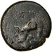 Munten, Campania, Teanum, Bronze Æ, 265-240 BC, FR+, Bronze, HN Italy:453