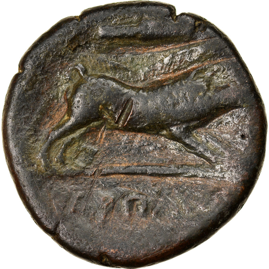 Coin, Apulia, Arpi, Bronze Æ, 325-275 BC, VF(30-35), Bronze, HN Italy:642