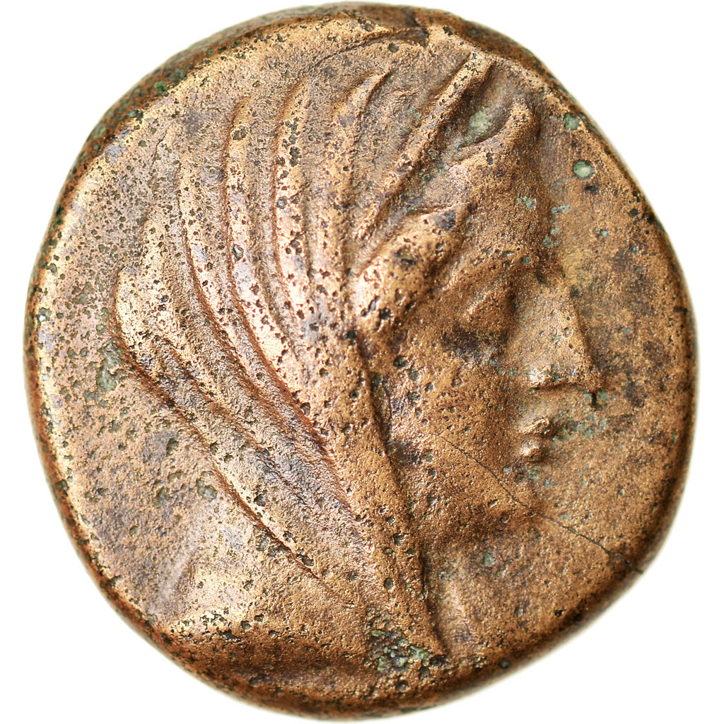 Moneta, Lucania, Metapontion, Bronze Æ, 300-250 BC, BB, Bronzo, HN Italy:1693