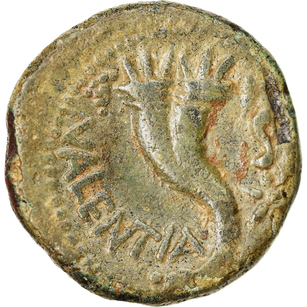 Moneta, Bruttium, Hipponion (as Vibo Valentia), Triens, 193-150 BC, BB, Bronzo